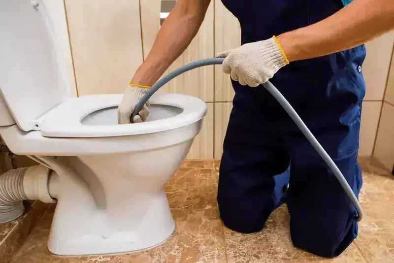 Toilet and tap repair in Caulfield